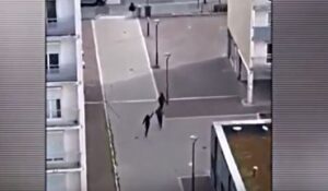 Зеленский и ОПГ