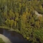 Пропавшие в тайге тайна семьи Усольцевых