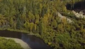 Пропавшие в тайге тайна семьи Усольцевых